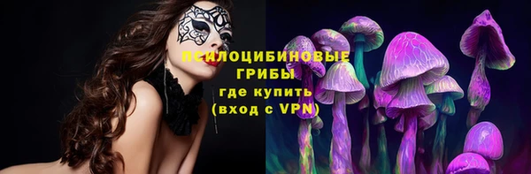apvp Богданович